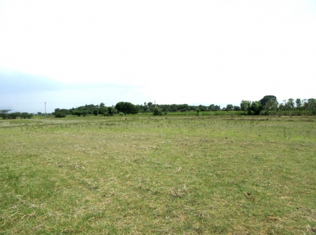 8.50 Acres Agricultural Land for Sale Just 5 Kms From Sri Kalahasthi, Tirupati